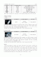 로만손 해외진출 12페이지