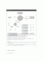 부동산 금융과 저당시장 13페이지