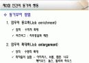 동기이론의 성립 인간의 욕구와 동기 인간의 동기와 행동 18페이지