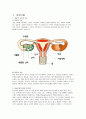 여성병동 자궁근종 케이스 1페이지