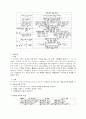 표중보육과정 구성 원칙 및 연령대별 내용 3페이지