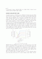 미생물에 의한 생물학적 수소에너지의 생산과 그 이용 7페이지