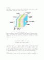 미생물에 의한 생물학적 수소에너지의 생산과 그 이용 12페이지