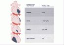 심전도[Electrocardiogram , ECG, 心電圖, EKG]  32페이지