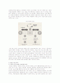 [SCM] SCM의 기본이론과 추진전략 2페이지