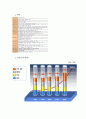 17차 마케팅전략 4p.STP,SWOT및 향후전망 4페이지