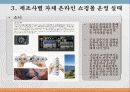 [경영] 디지털카메라의 온/오프라인 가격조사 및 유통전략 수립 14페이지