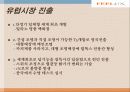 감성조명 필룩스(feelux)해외진출 마케팅사례 15페이지