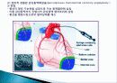 심혈관계 해부와 생리 프리젠테이션 31페이지