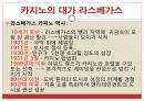 관광 카지노업 23페이지