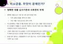 [미소금융]미소금융사업의 장점(필요성과 기대 효과) 및 단점(미소금융사업의 문제점 및 한계) 분석과 이에 대한 해결 방안 고찰 21페이지