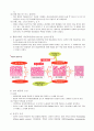 위암(Gastric cancer)에 관한 문헌고찰 및 병태생리 3페이지