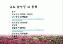 당뇨병 (DM) 4페이지