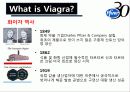 비아그라 마케팅및광고전략분석 PPT자료 3페이지
