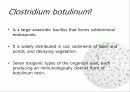 Clostridium Botulinum과 Botulism 4페이지