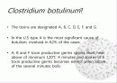 Clostridium Botulinum과 Botulism 5페이지