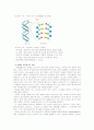 [식품미생물학A]유전 물질 DNA의 물리화학적 구조와 미생물에 의한 이들 유전물질의 교환방법을 설명 6페이지