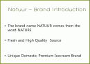 나뚜루(natuur)마케팅사례분석 파워포인트 5페이지