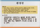 사회적기본권 에대한 모든것 72페이지