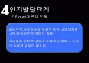 인지이론 주요개념, 성격발달관점, 실천 및 사례관리 파포 PPT 프리젠테이션 33페이지