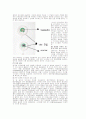 의공학(물성) 22페이지