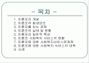 미혼모 발생요인,실태,사회복지서비스현황,문제점,대책, 사례 PPT 프리젠테이션 2페이지