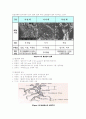 활성탄 등온 흡착 실험 12페이지