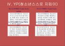 미디어와 학교복지, 청소년 문화와 미디어에 관한 청소년 권리 파워포인트 PPT 16페이지