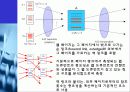 구글(google)의 검색기술과 서비스분석및 한계점과 미래 14페이지