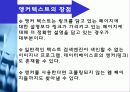 구글(google)의 검색기술과 서비스분석및 한계점과 미래 20페이지