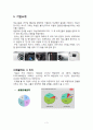 캐논 550D CF 광고 분석 및 효과 3페이지