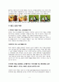 캐논 550D CF 광고 분석 및 효과 6페이지