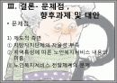 노인복지서비스정책, 소득보충제도, 의료지원제도, 재가복지사업, 시설보호사업, 경로우대제도, 노인복지서비스전달체계 파워포인트 PPT 47페이지