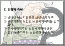 노인복지서비스정책, 소득보충제도, 의료지원제도, 재가복지사업, 시설보호사업, 경로우대제도, 노인복지서비스전달체계 파워포인트 PPT 49페이지