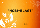 [생물정보학] NCBI BLAST 사용 법 -ppt 1페이지