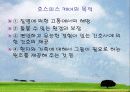 노인과 죽음(죽음의 정의, 태도, 임종(터미널)케어, 임종과 사별에 대한 사회복지사의 역할) 보고서 17페이지