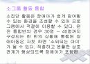 장애아 통합보육 파워포인트 PPT자료 - 이론적 배경, 사례, 기본방향, 지원과 효과, 발전과제 23페이지