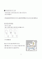 퇴행성 관절염 운동프로그램(50세 이상 농촌여성, 농업에 종사자 대상으로 ) 22페이지