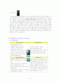 [국제마케팅]삼성전자 애니콜의 해외시장 마케팅전략 분석 13페이지