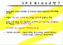 주요 SPA 브랜드 다차원척도법분석 4페이지