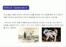 태권도(Taekwondo)의 정신과 역사의 이해 3페이지
