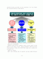 장애인 복지정책과 전달체계 21페이지