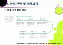 서울 G20 정상회의의 의미와 성과, 문제점은 무엇인가? G20 정상회의의 향후 전망 및 과제 고찰 - 서울 G20 정상회의의 모든 것 33페이지