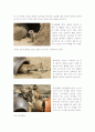 (인간과 동물)미어캣과 미어캣의 서식지인 칼라할리 사막 소개 2페이지