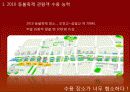 서울 등불 축제 개선 기획안 10페이지