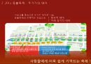 서울 등불 축제 개선 기획안 15페이지