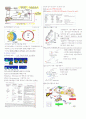 리피도 건강 1~7주차 타이핑입니다. 15페이지