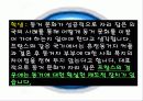 [동거문화] 동거의 실태, 찬반논의, 향후 바람직한 동거 문화 방안 27페이지