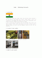 인도시장진입을위한 마케팅조사(영문자료) 1페이지