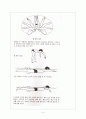 수영 경기 15페이지